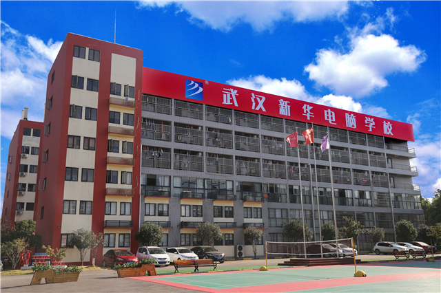 1763543085695319.jpg 1.jpg